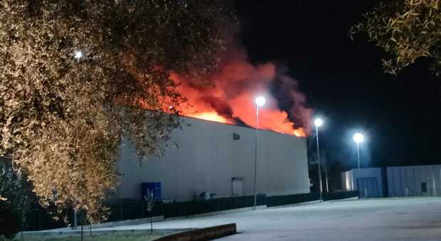 Incendio in un'azienda: la mobilitazione dei vigili del fuoco per domare le fiamme