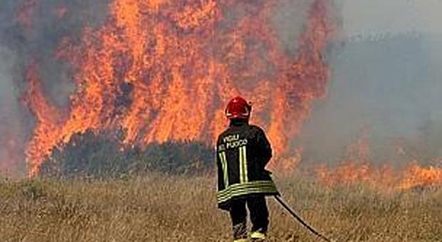 Ascoli, scoppia un incendio sulle colline di Campolungo