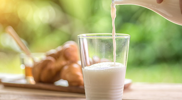 Pezzi di plastica nelle bottiglie di latte: Carrefour ritira diversi lotti