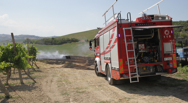 Incendio in un campo agricolo minaccia un centro ippico, cavalli evacuati per sicurezza