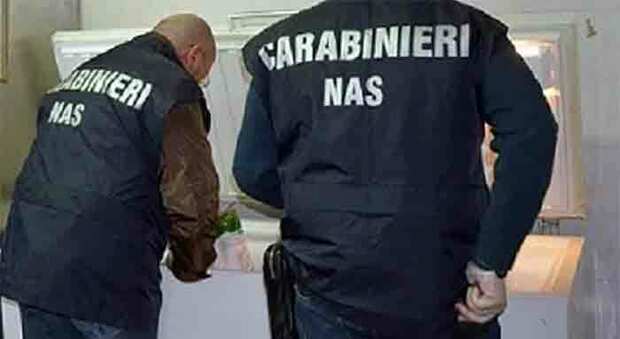 I carabinieri del Nas trovano 40 chili di pesce non tracciato: maxi multa allo chalet