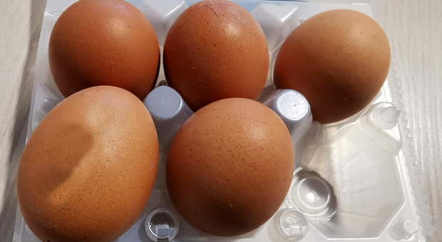 Uova bio contaminate da salmonella, cresce il numero dei lotti ritirati: ecco quali sono