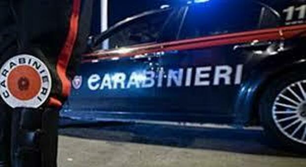 L'operazione è stata effettuata dai carabinieri di Urbino