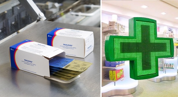 Il farmaco anti Covid (e made in Marche) Paxlovid arriva nelle farmacie: gratis con la ricetta del medico