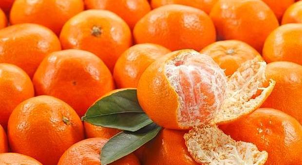 Mandarini per la compravendita di eroina Pusher arrestata, sequestrati droga e frutti