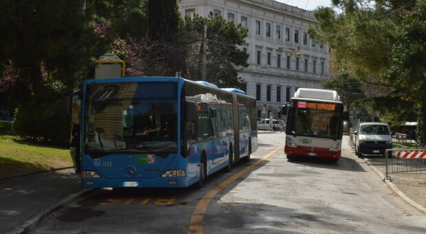 Autobus ad Ancona (foto di archivio)