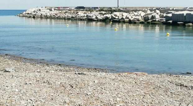 Pesaro, foce del fiume senza "tappo" ma barche ancora a rischio per il fondale basso. E c'è chi rinuncia a salpare