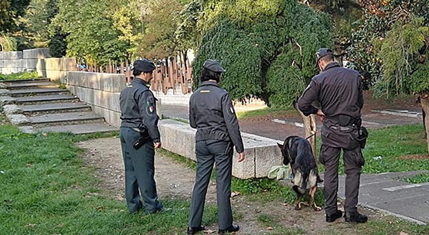 Pesaro, fuggi fuggi nel parco dello spaccio: i finanzieri trovano hashish e il kit per iniettarsi eroina