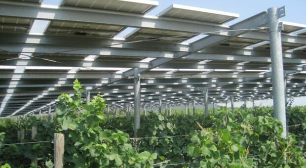 Impianto agri-fotovoltaico grande come 10 campi da calcio a Sant'Angelo in Vado: la Regione si schiera per il no
