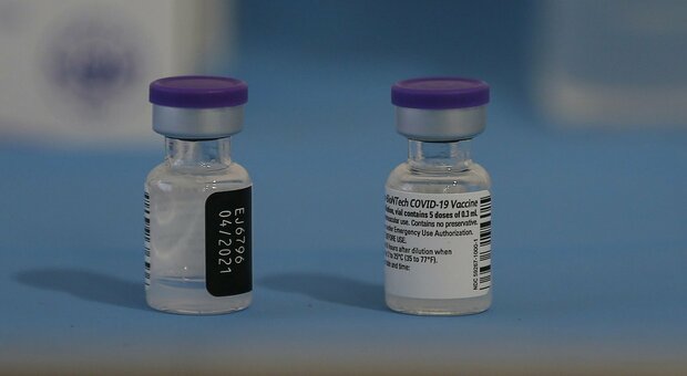 Coronavirus, il piano è pronto, i vaccini no: le Marche costrette a fare i conti