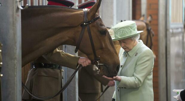La regina Elisabetta costretta a rinunciare alle sue passeggiate a cavallo. Ma lei avverte: «Tornerò in sella»