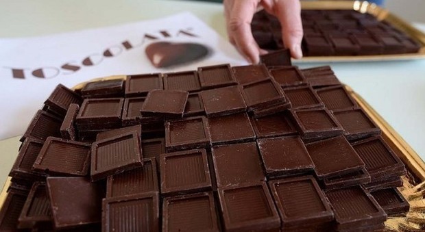 Cercasi mangiatori di cioccolata Appello dell'Università: come candidarsi