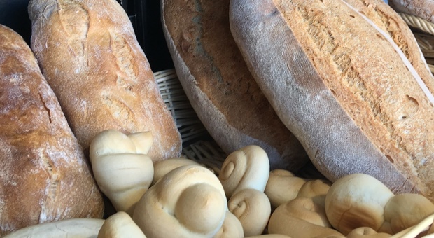 Pesaro, prezzo del pane torna a crescere dopo otto anni: ritocchi fino al 10%