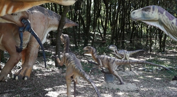 Dinosauri, scoperte impronte di 100 milioni di anni fa in Cina
