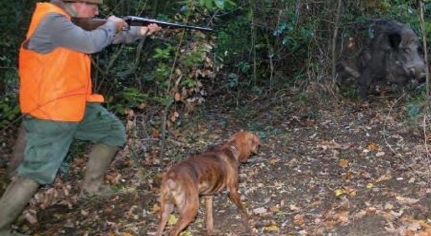 L'autopsia svela il retroscena: il cacciatore colpito da un proiettile vagante è morto dissanguato