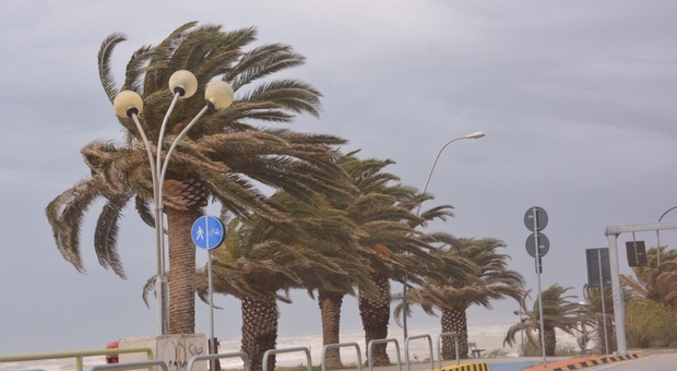 Allerta Protezione Civile: domenica con temporali e vento fino a 100 all'ora