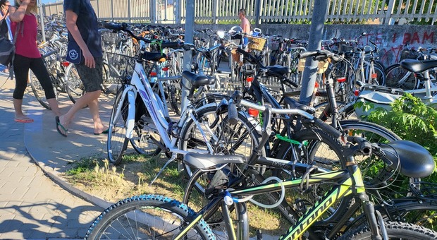 Settimana piena di furti: i ladri di biciclette sono hi-tech razziano e-bike e super modelli