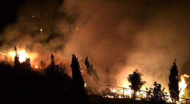 Ancona, vasto incendio di sterpaglie Le fiamme tra Posatora e Palombella