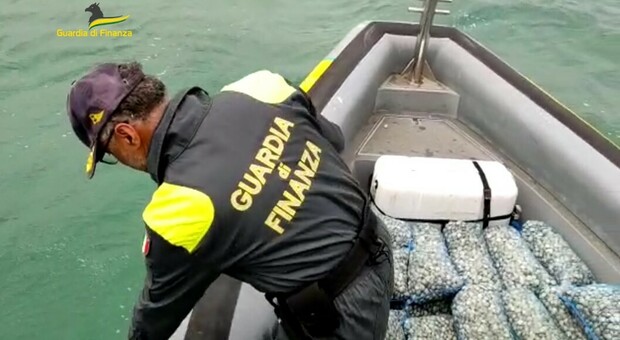 Pescano mezza tonnellata di vongole in più rispetto alle quote: multe per migliaia di euro e attrezzatura sequestrata