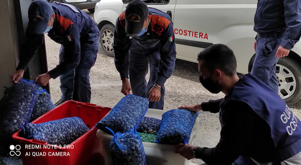 Pesca illegale e rifiuti, i blitz salva-Adriatico. Il contrammiraglio Moretti: «Violazioni sulla tracciabilità dei prodotti ittici»