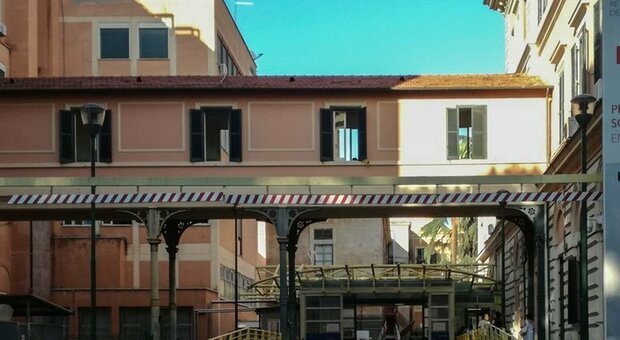 Tirocinante violentata in ospedale da un infermiere, orrore al Policlinico di Roma. «Attirata nello sgabuzzino durante il turno di notte»