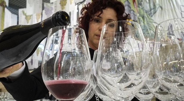Il vino è l'oro delle Marche: sale l'export «Possiamo competere con chiunque»