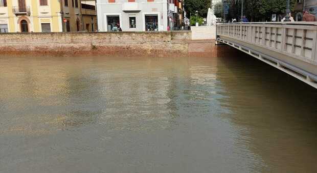 Senigallia, il fiume Misa preoccupa: il mare non riceve l'acqua, il livello si sta alzando