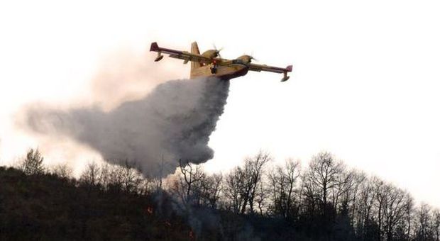 I boschi delle Marche a rischio incendi E scatta la protesta dei vigili del fuoco