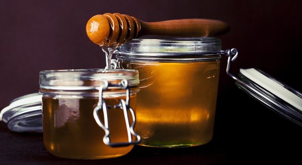 Miele di corbezzolo possibile arma contro tumore e colon
