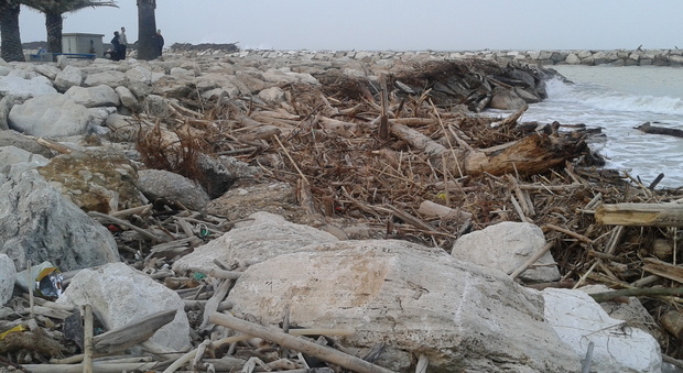 Una delle spiagge fermane invase dai detriti dopo la mareggiata