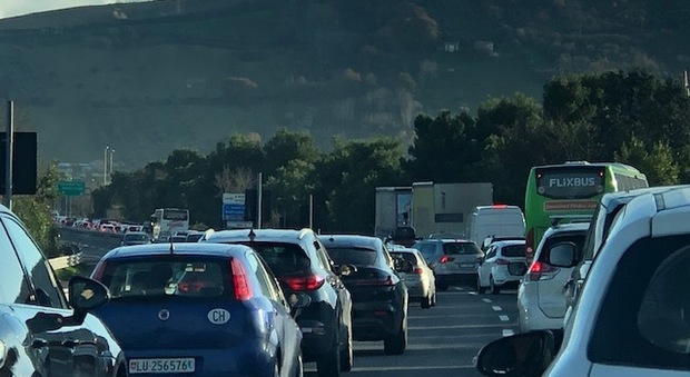 Nuovo pericolo in A14, cinghiali sull'autostrada: un'auto e unn Tir ci finiscono contro