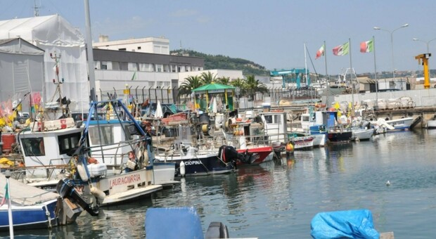 La banchina per gli operatori della piccola pesca a San Benedetto del Tronto