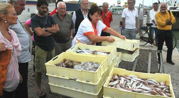La vendita del pesce al porto di San Benedetto