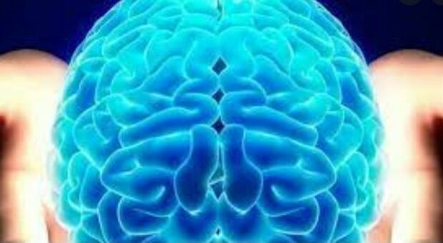 Alzheimer, training fisico (e cognitivo) aiutano il cervello: ruolo chiave della molecola Ccl11
