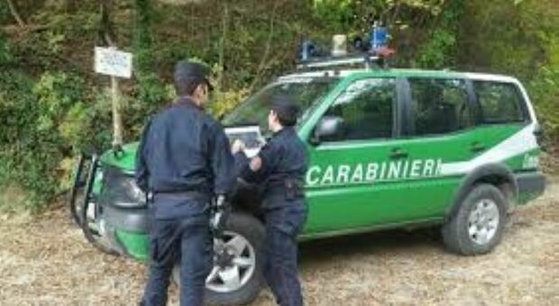 Smaltimento illecito dei rifiuti, imprenditore denunciato dopo il blitz dei carabinieri forestali