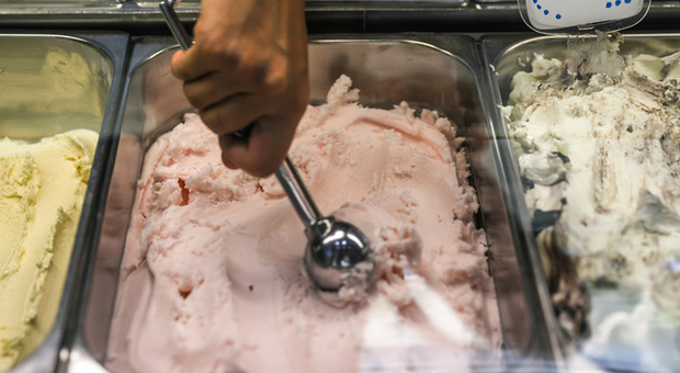 Gelato scaduto da 2 anni, i Nas ne trovano cento chili nella gelateria