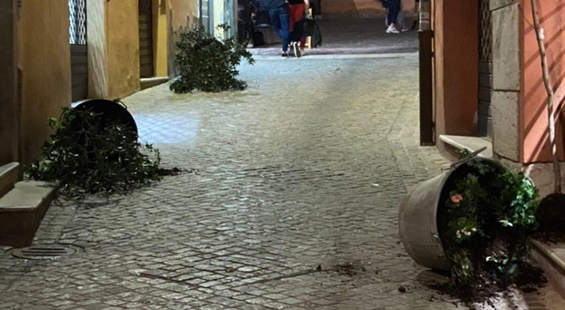 Le fioriere danneggiate dai vandali in via degli Orefici ad Ancona