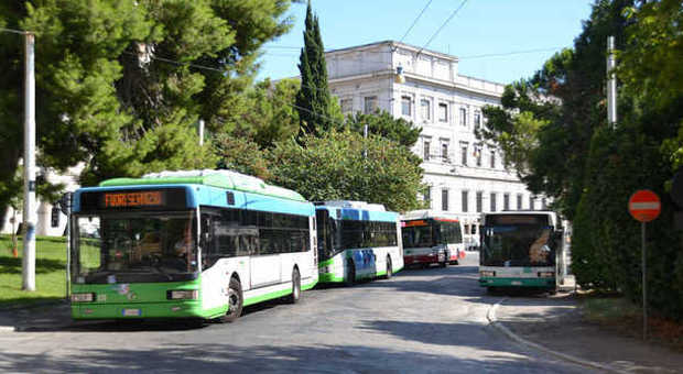 Ancona, in piazza Cavour si cambia Ecco i nuovi capolinea degli autobus