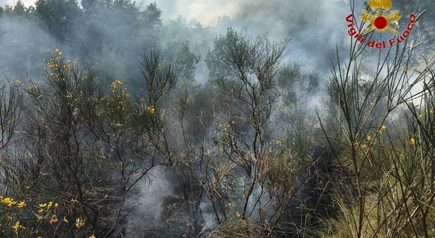Serra San Quirico, incendio sul monte Distrutti dieci ettari di bosco nel parco