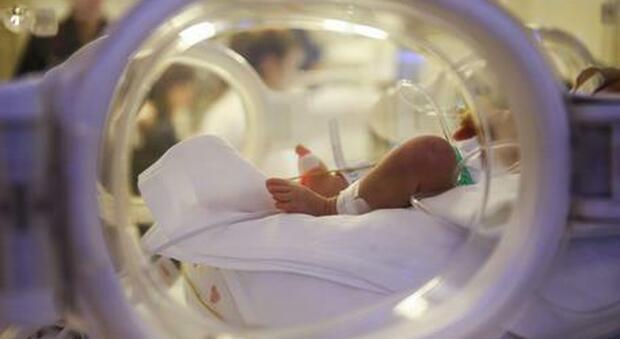 Messico, neonato sopravvive sei ore in una cella frigorifera di un obitorio: era stato dichiarato morto dopo la nascita