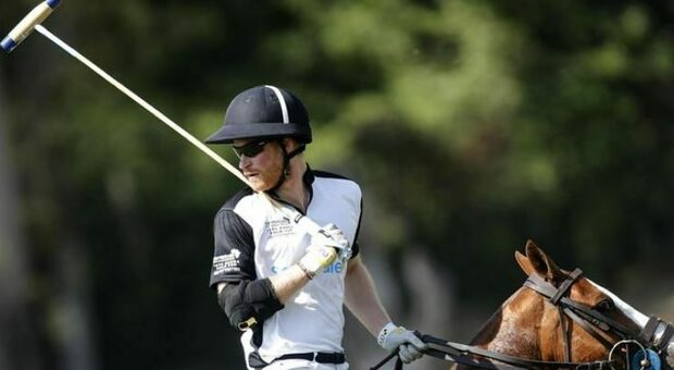 Harry gioca a polo