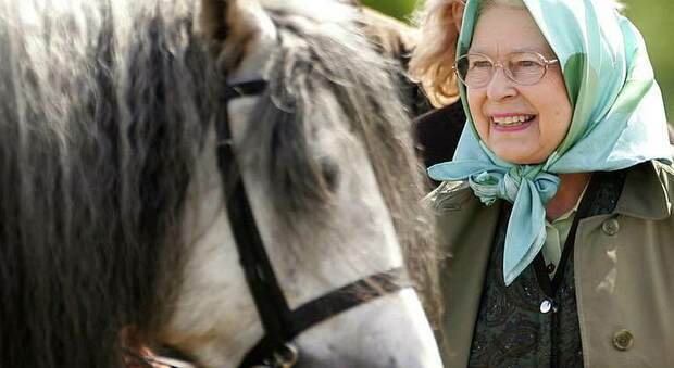 La regina Elisabetta II con i suoi cavalli