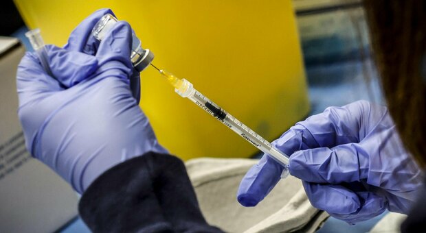 Vaiolo delle scimmie, è corsa al vaccino: la Spagna acquisterà migliaia di dosi. Ecco i vaccini e gli antivirali disponibili